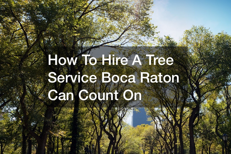 How To Hire A Tree Service Boca Raton Can Count On