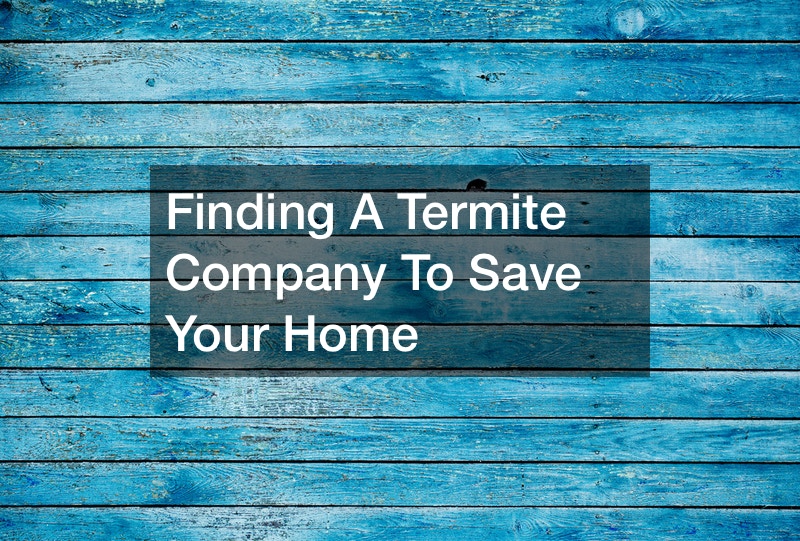 Finding A Termite Company To Save Your Home