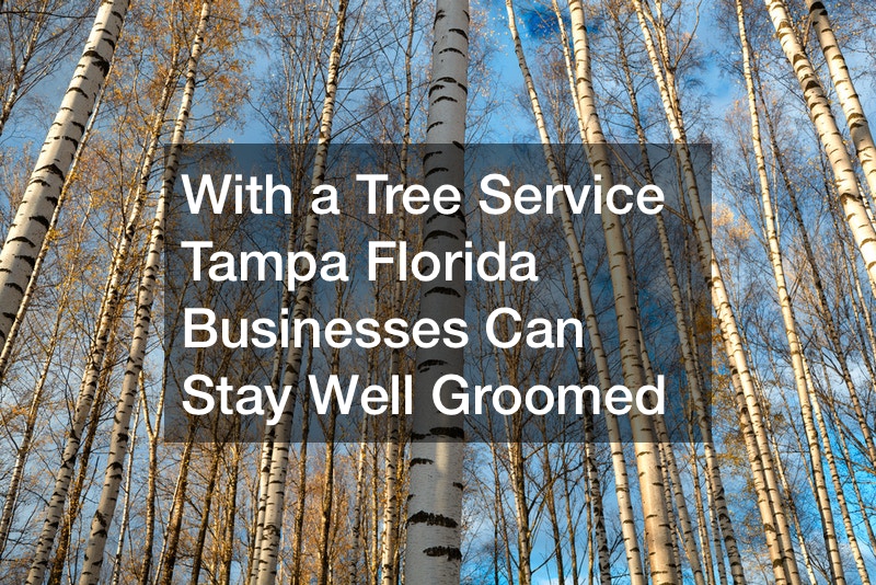 With A Tree Service Tampa Florida Businesses Can Stay Well Groomed