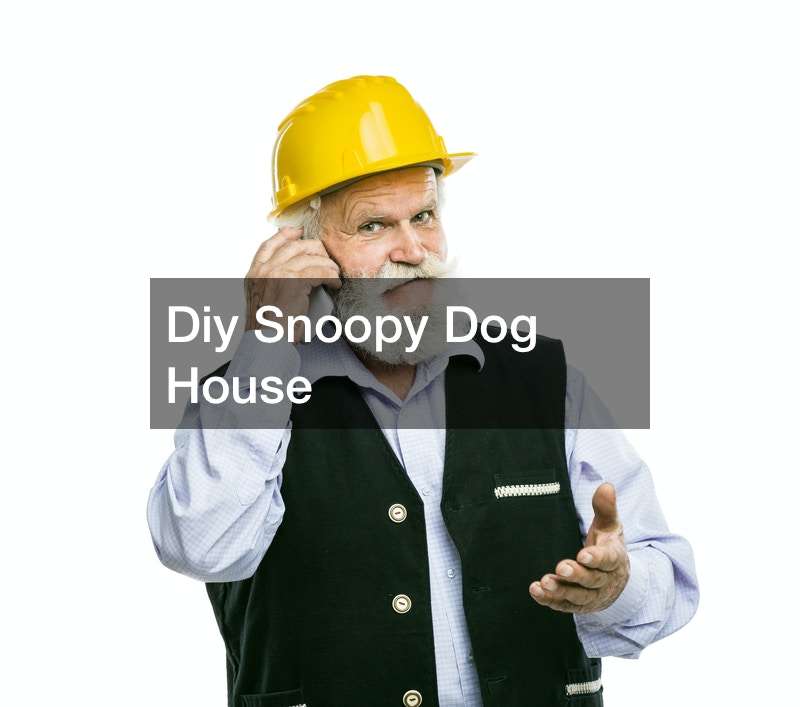 Diy Snoopy Dog House