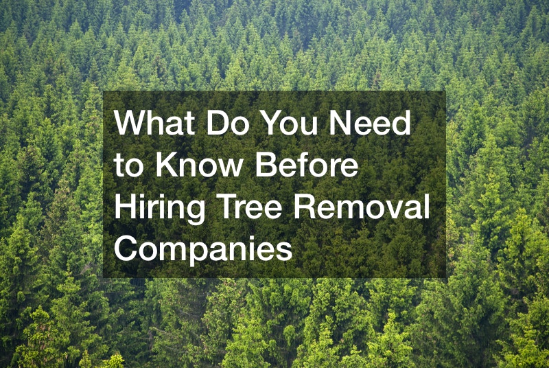 What Do You Need to Know Before Hiring Tree Removal Companies
