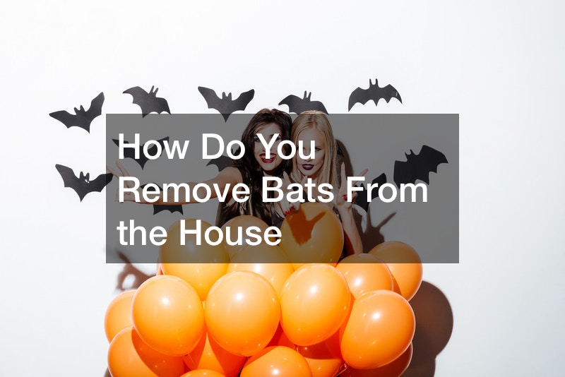 How Do You Remove Bats From the House