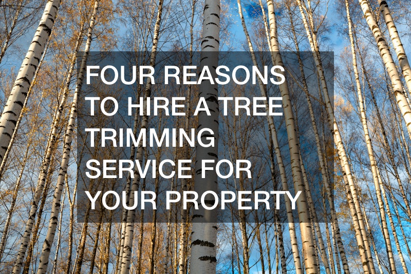 Four Reasons to Hire a Tree Trimming Service for Your Property