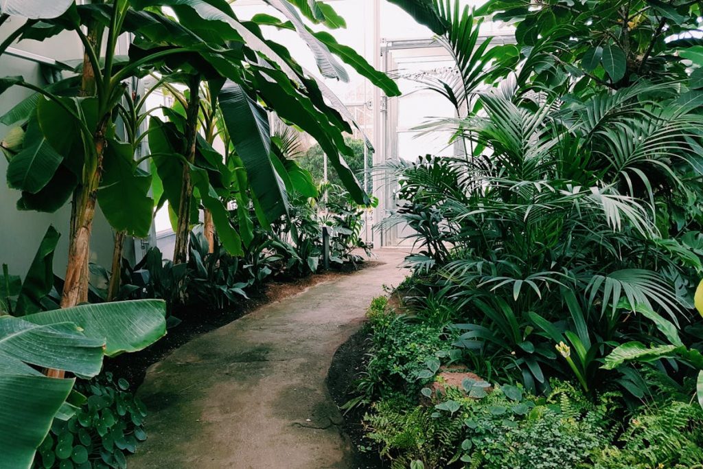 garden