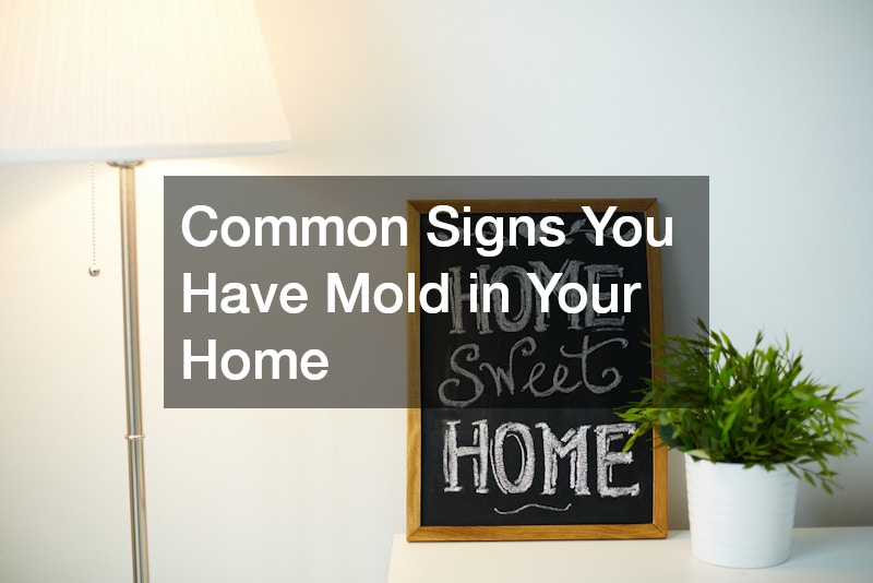 Common Signs You Have Mold in Your Home